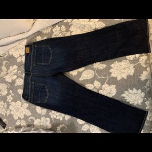 American Eagle Cropped Artist Style